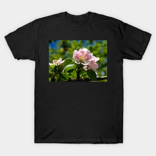 Apple blossom T-Shirt